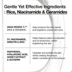 ANUA RICE 7 CERAMIDE HYDRATING BARRIER SERUM - 50ml - Yuna